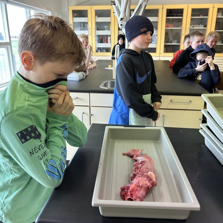 image-20230510-101557-a75ec111