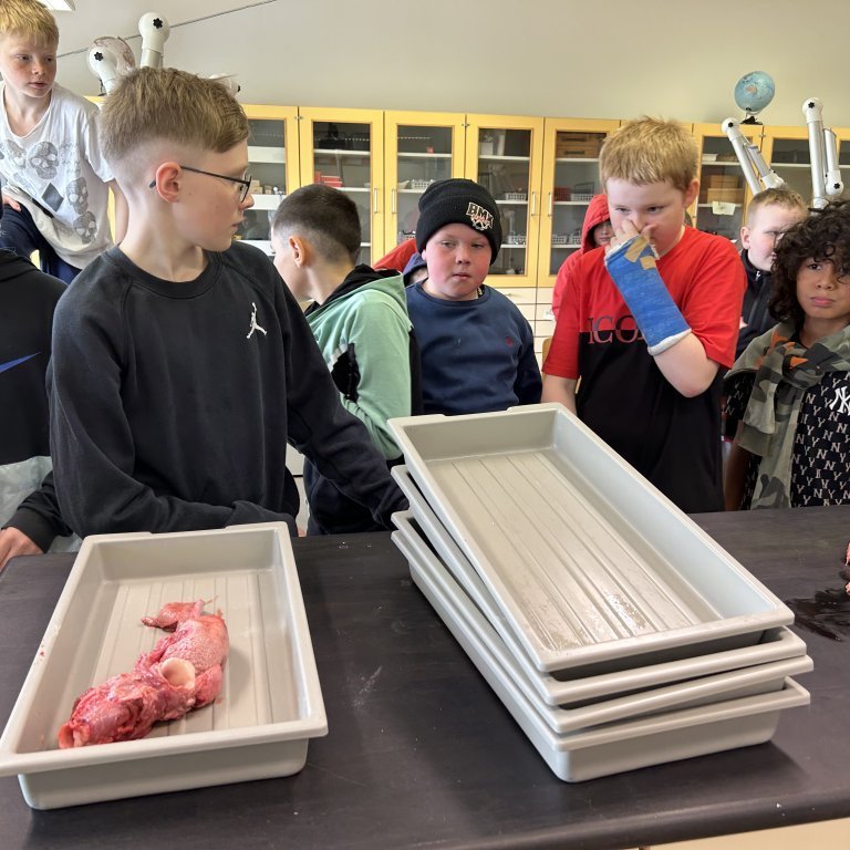 image-20230510-101629-69a2b79a