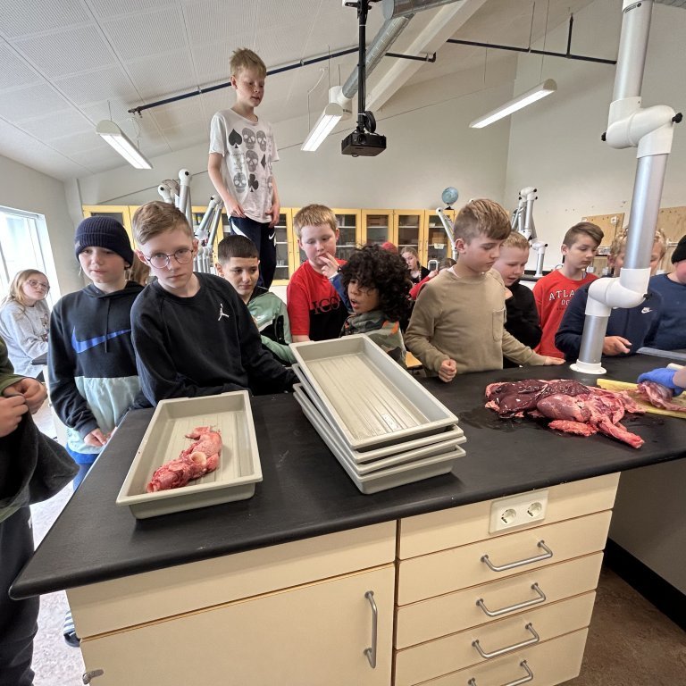 image-20230510-101638-775c343e