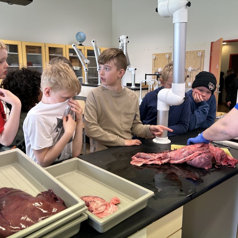 image-20230510-101733-6812f275