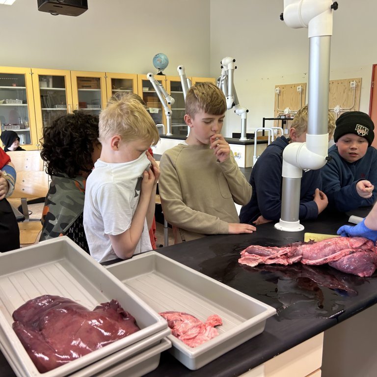 image-20230510-101736-c29834e3