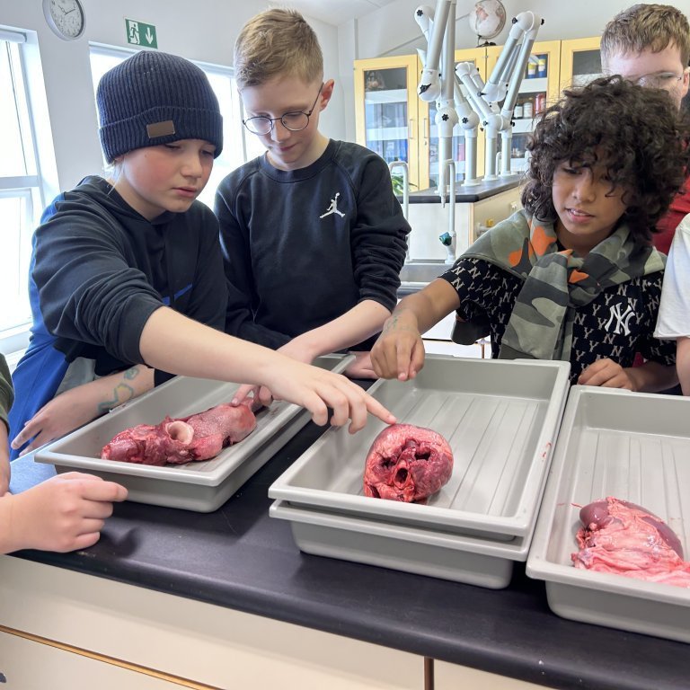 image-20230510-101844-70aa7434