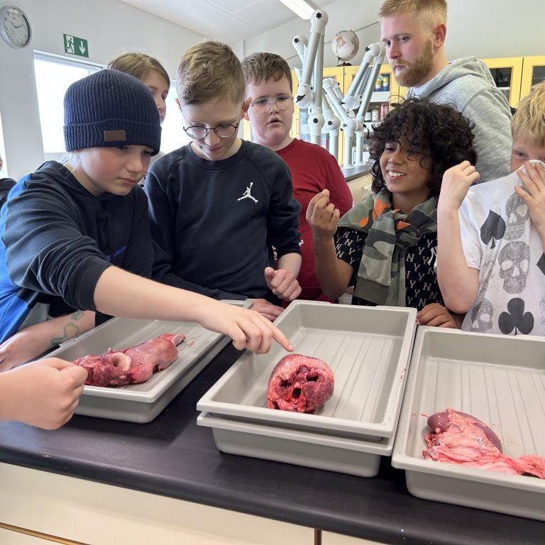 image-20230510-101847-db39bcbc