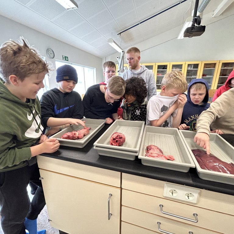 image-20230510-101854-15f50b3a