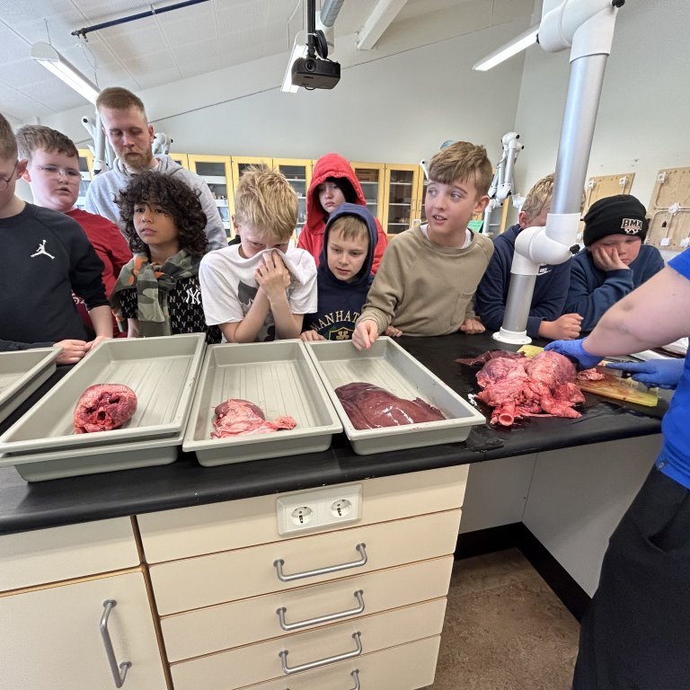 image-20230510-101902-ef8a3510