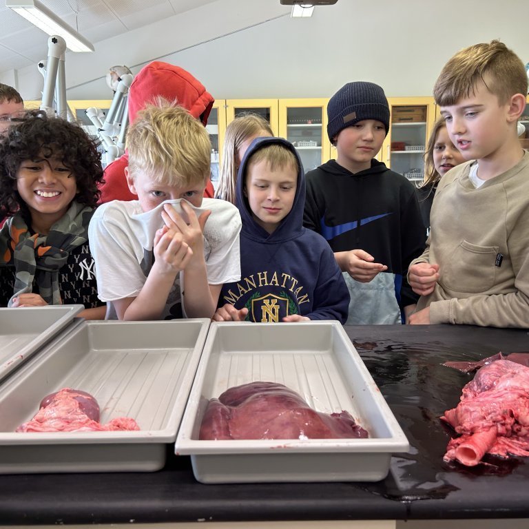 image-20230510-101926-7481f91e