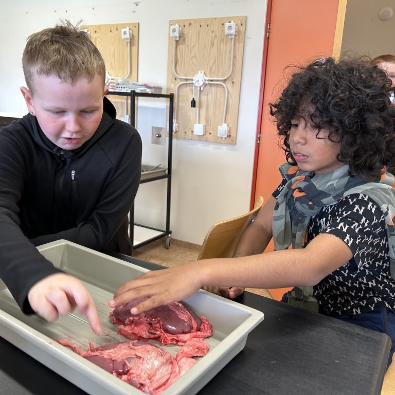 image-20230510-102148-7249a7f5