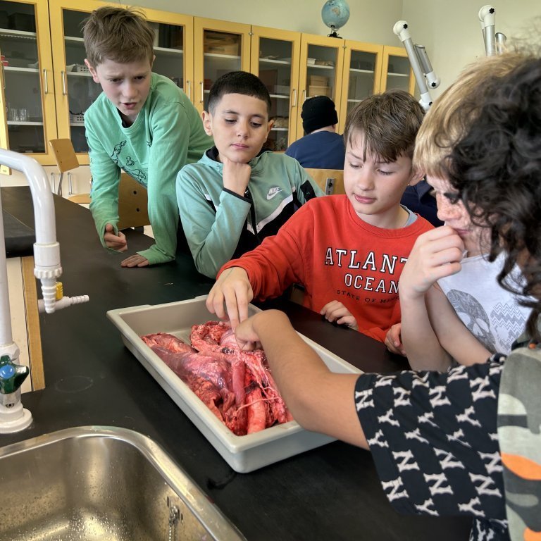 image-20230510-102219-20b1a25c