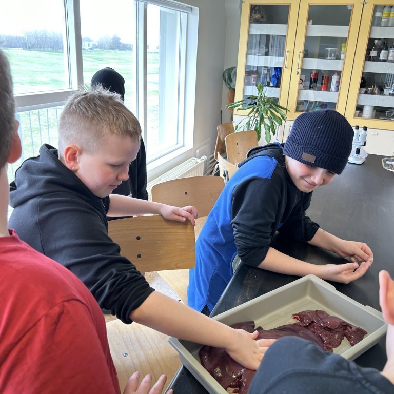 image-20230510-102223-d9329dd0