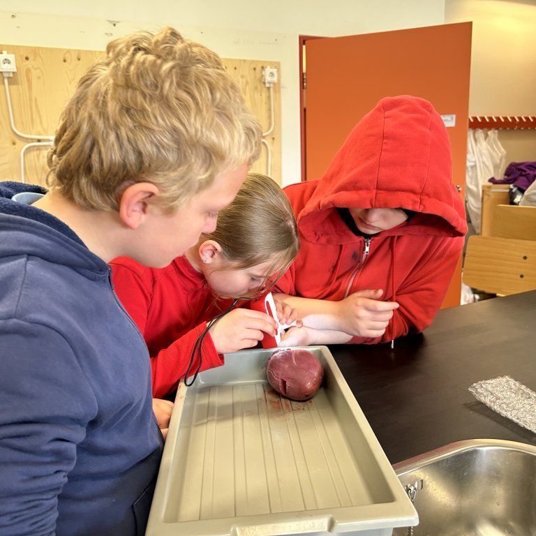 image-20230510-102338-c1e2bd33