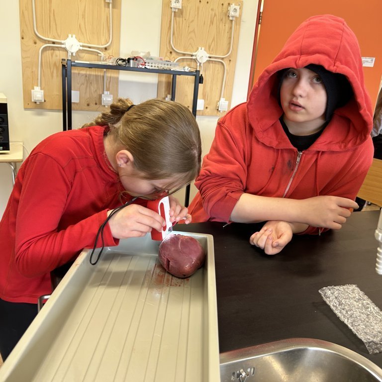 image-20230510-102344-56e2763c