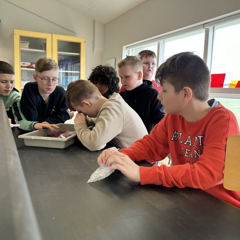 image-20230510-102401-82a211cb