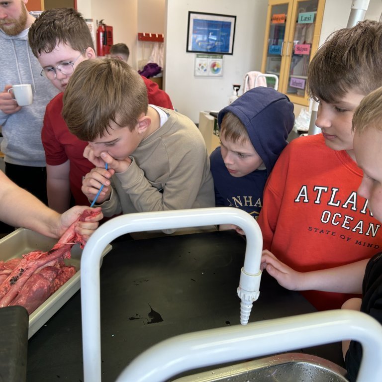 image-20230510-103308-18a22428