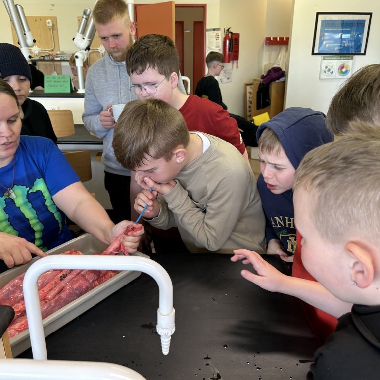 image-20230510-103310-b719c2ee