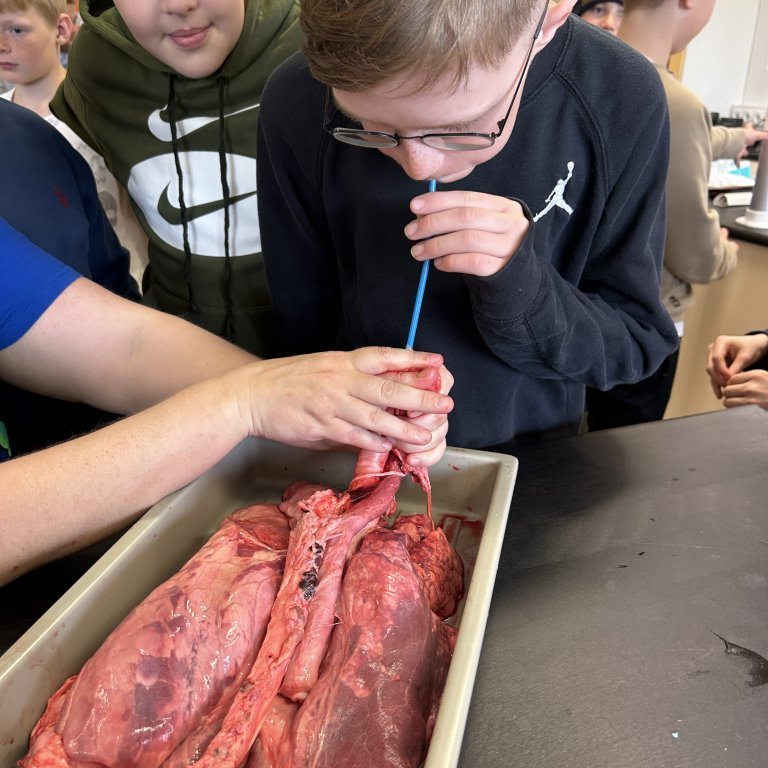 image-20230510-103514-a531f59b