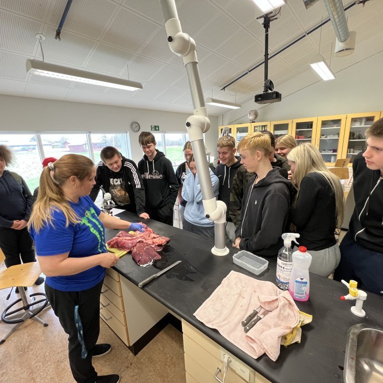 image-20230511-141947-308e247c