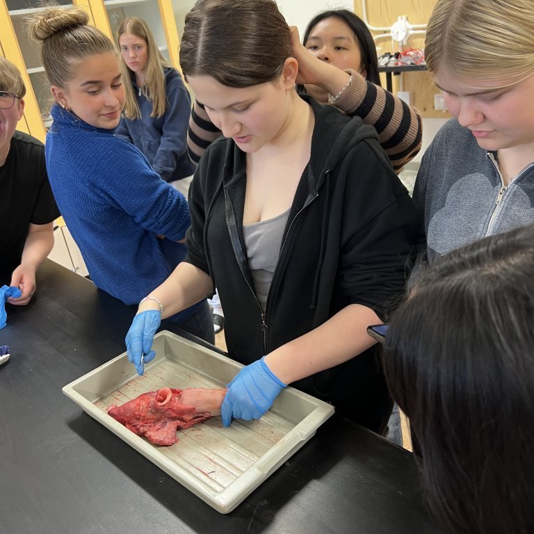 image-20230511-142413-42009ce1