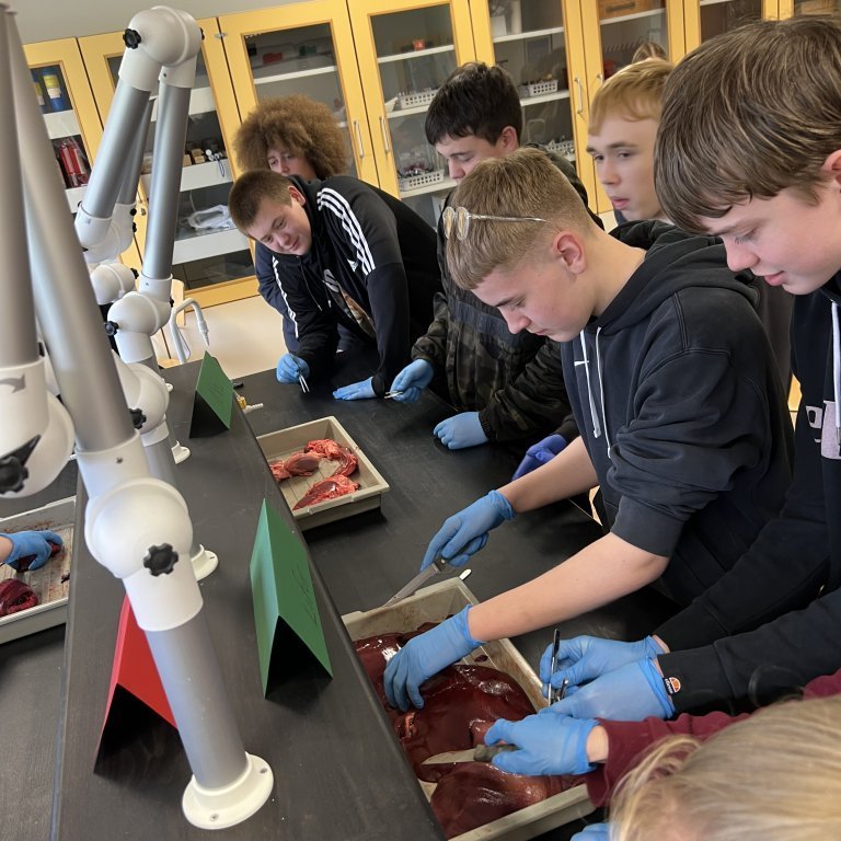 image-20230511-142511-a54ef8b6