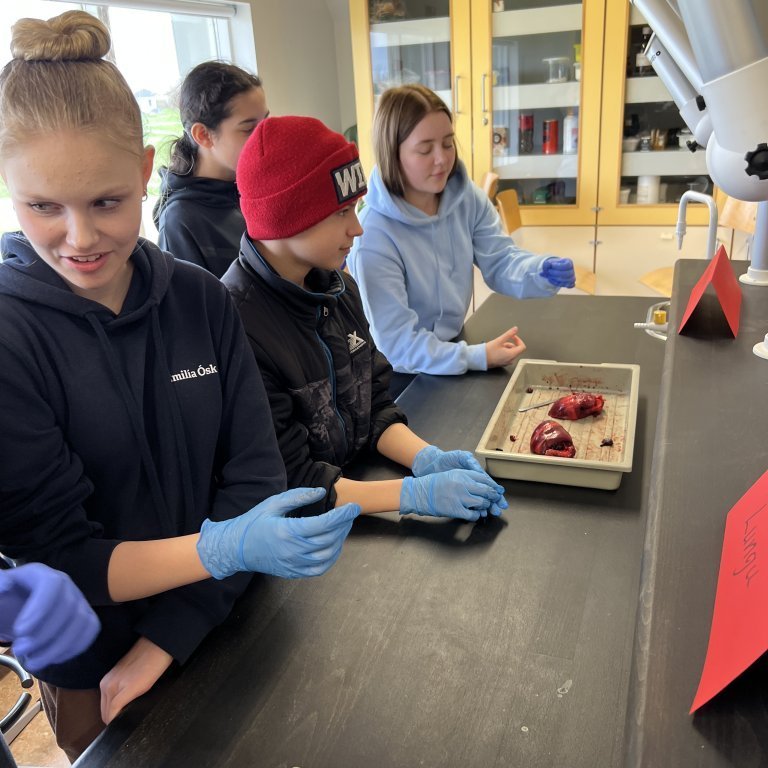 image-20230511-142525-620c30de