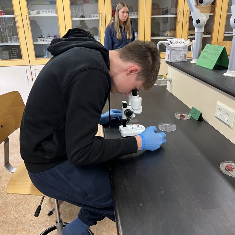 image-20230511-142534-9148d6bd