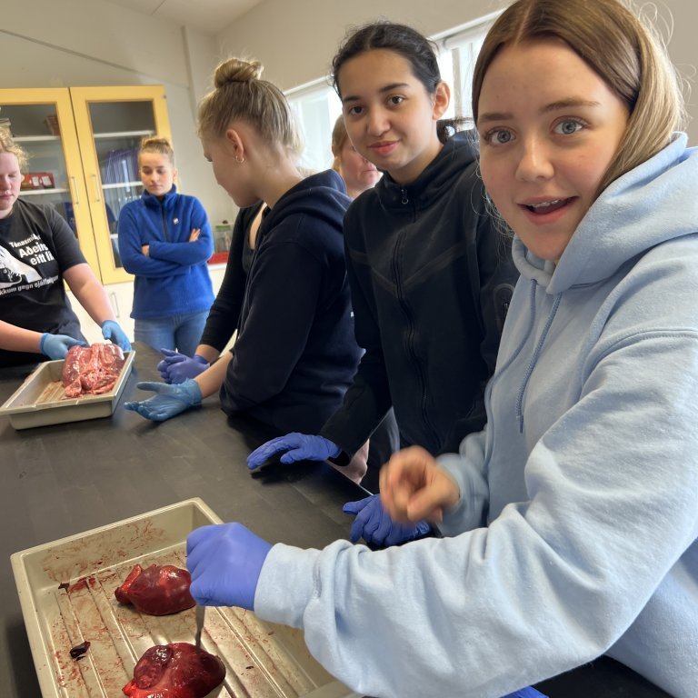 image-20230511-142558-aae86634