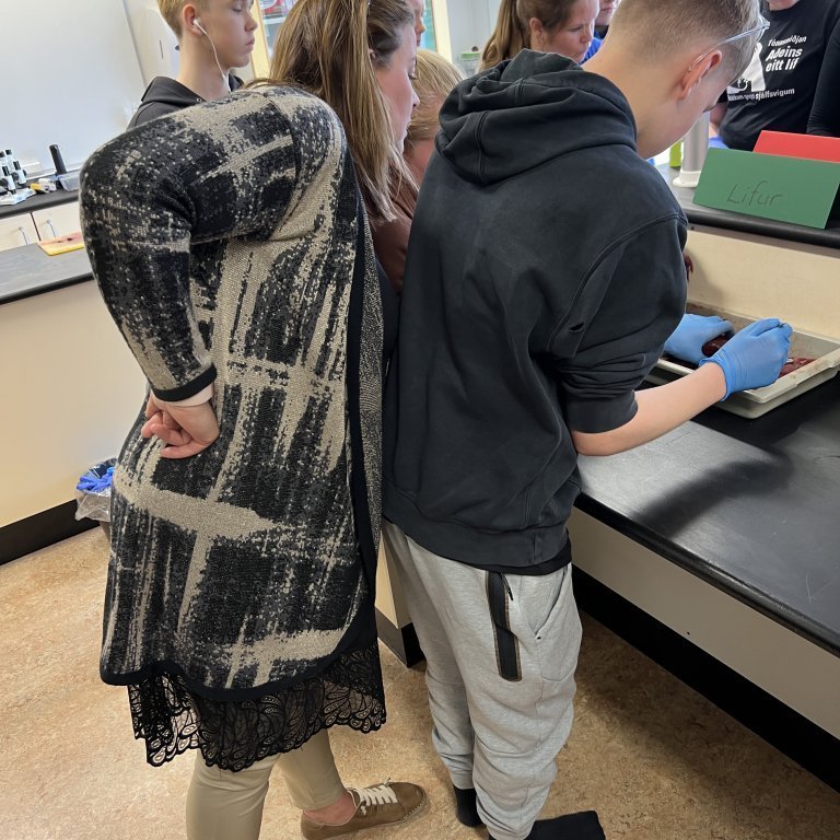 image-20230511-142827-8e2e420a