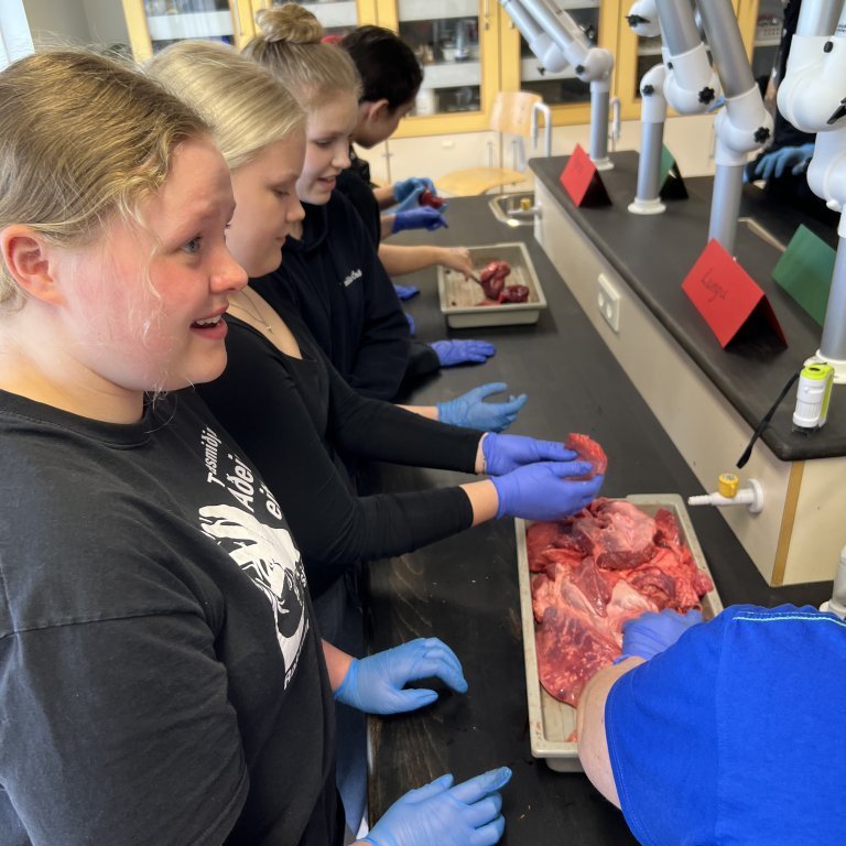 image-20230511-142845-6f4306af