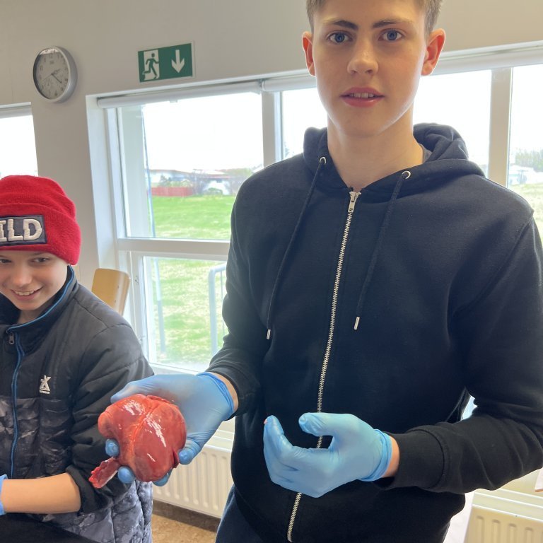 image-20230511-142918-3a480679