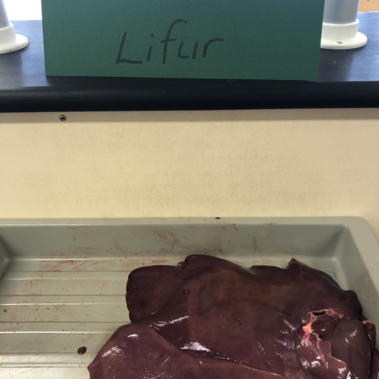 image-20230511-085940-91e3c198