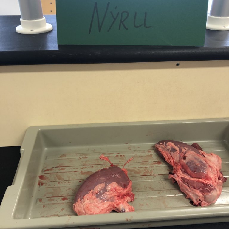 image-20230511-085947-e02158ea