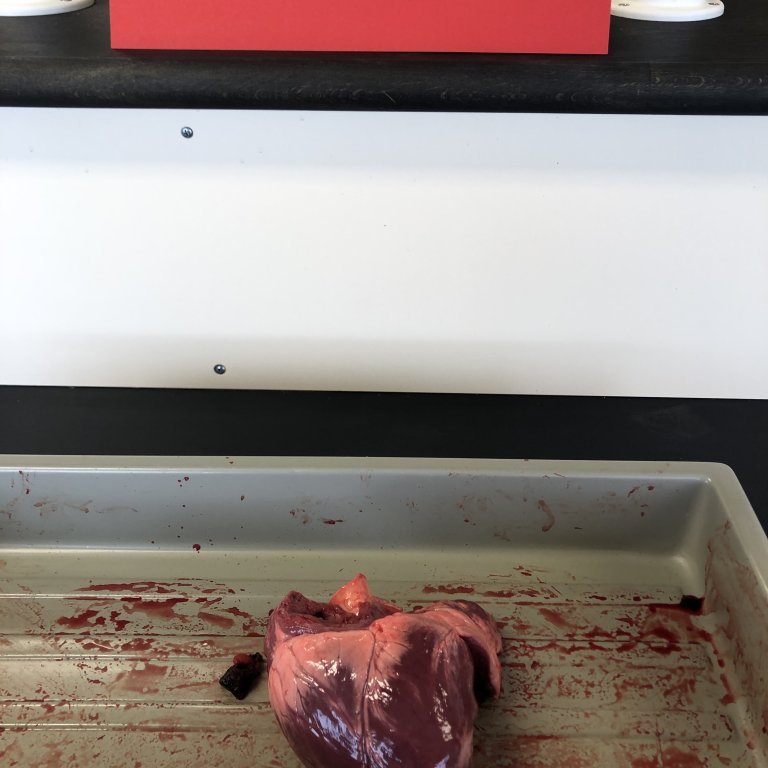 image-20230511-090005-b27fcadf