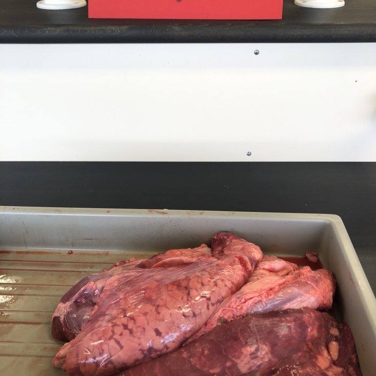 image-20230511-090011-b0262e1c