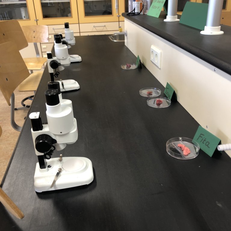 image-20230511-090022-783e6588