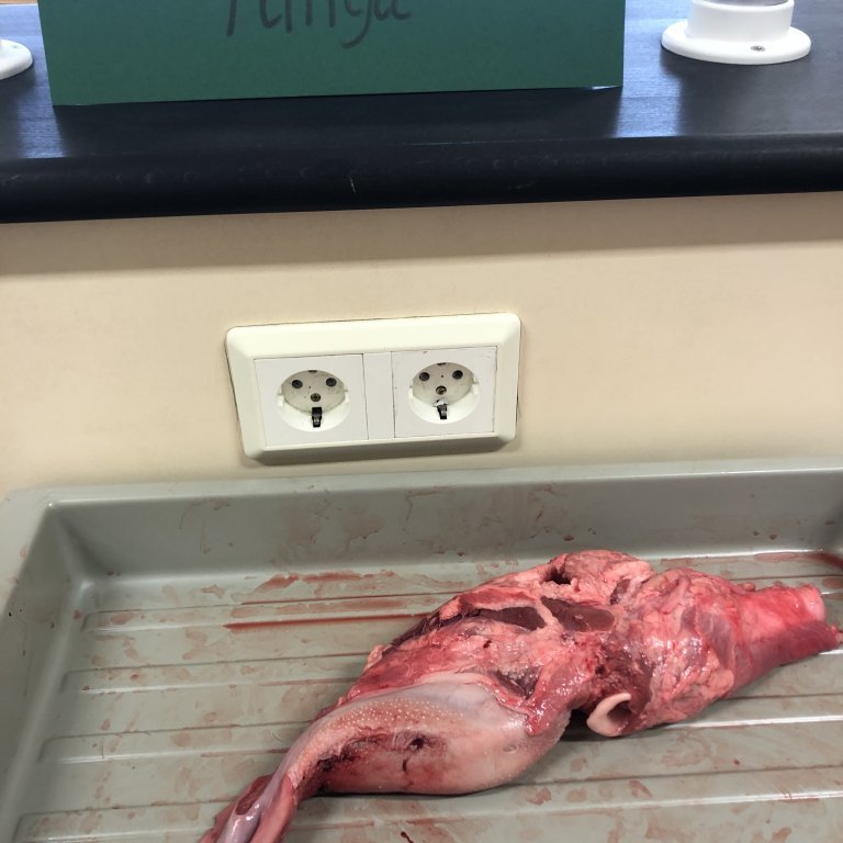 image-20230511-090103-5abd14b8