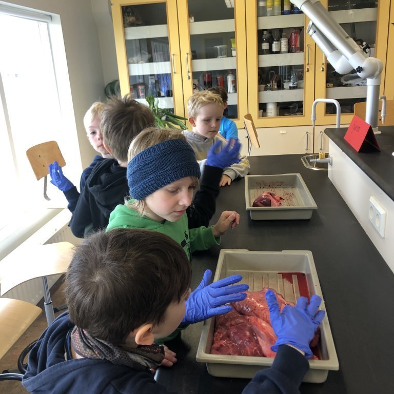 image-20230511-101651-daa3c8a8