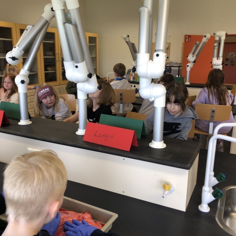 image-20230511-101658-b8b02514