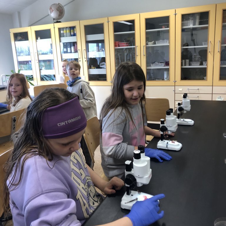 image-20230511-101720-62663c85