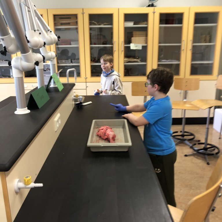 image-20230511-101724-42aee1a3