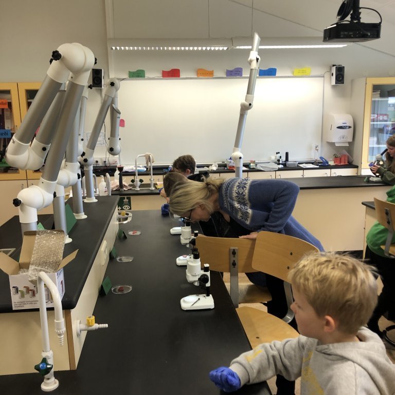 image-20230511-101750-3a15cf6d