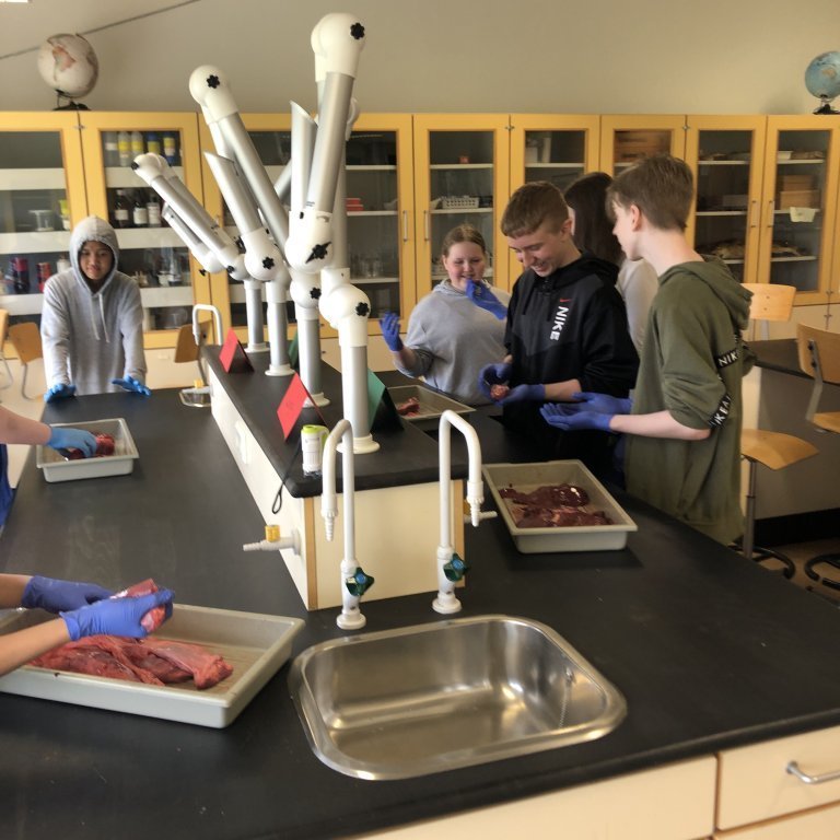 image-20230511-124846-b7b05447