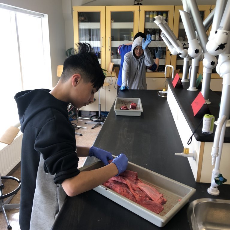 image-20230511-124854-e4e6fb71