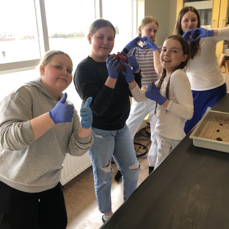 image-20230511-124930-483cf5bd