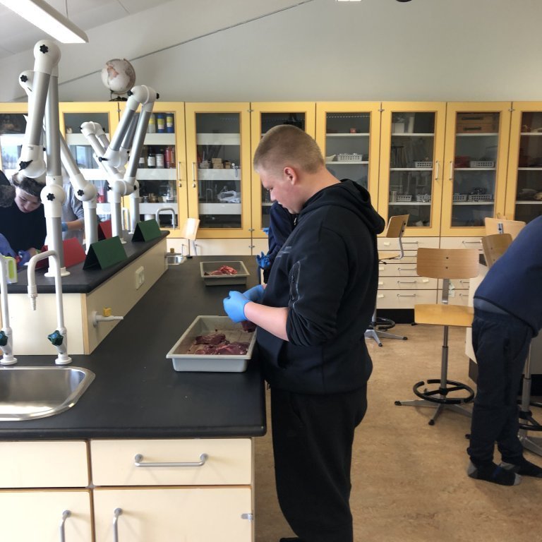 image-20230511-130011-b071f13e