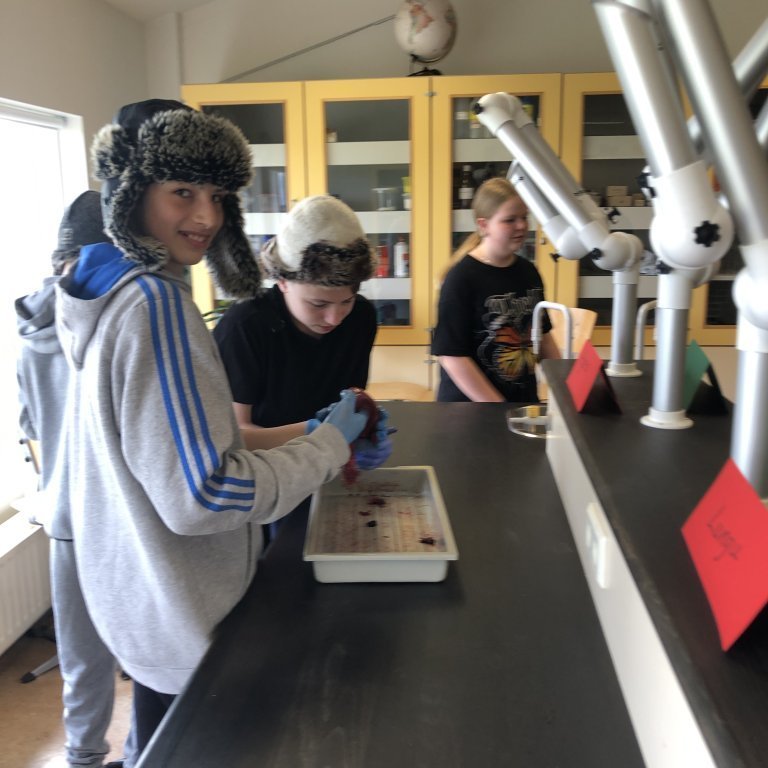 image-20230511-130022-b7d22e92