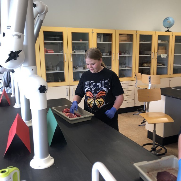 image-20230511-130025-10c4e8d3