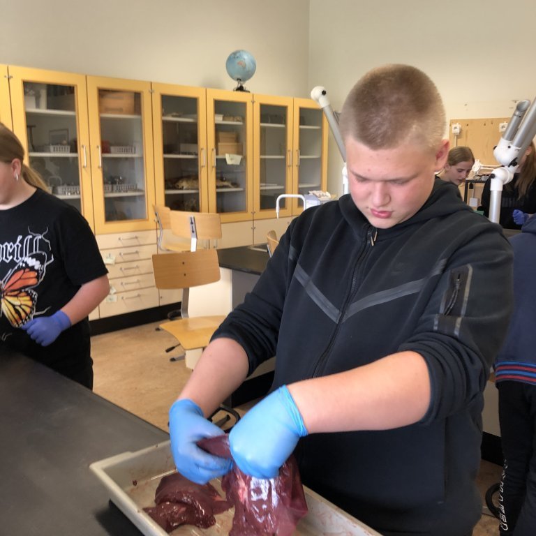 image-20230511-130027-d1297fbf