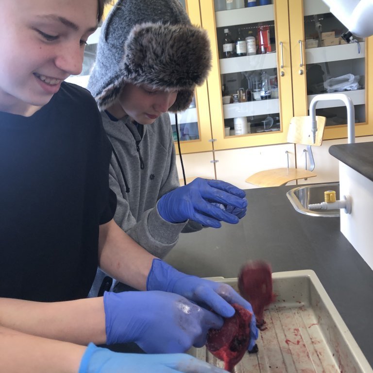 image-20230511-130044-7b9cd79d