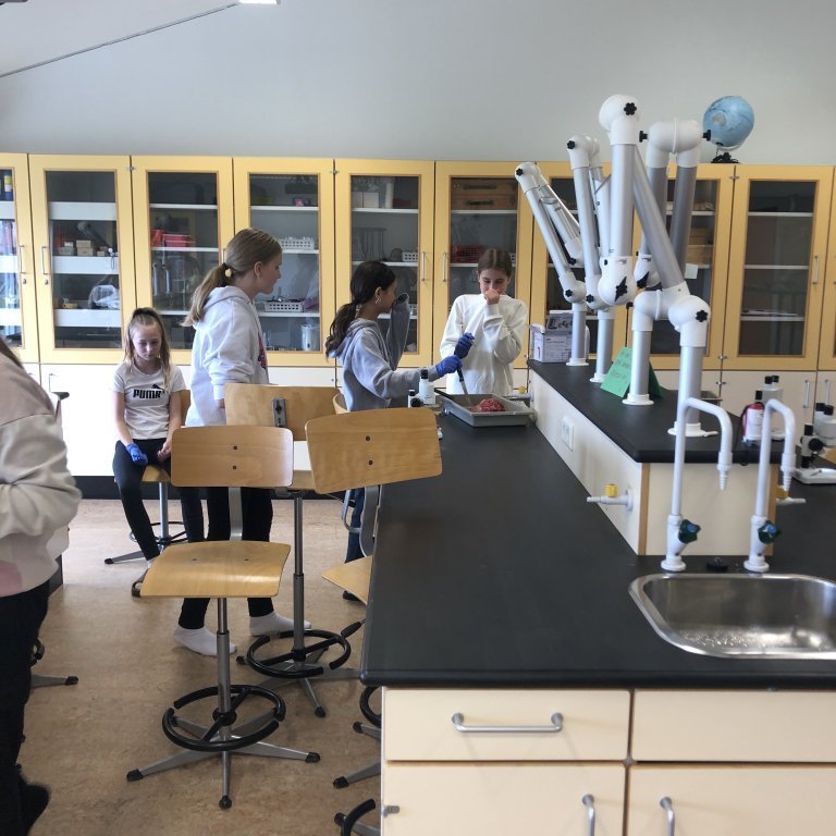 image-20230510-105455-d9290af5