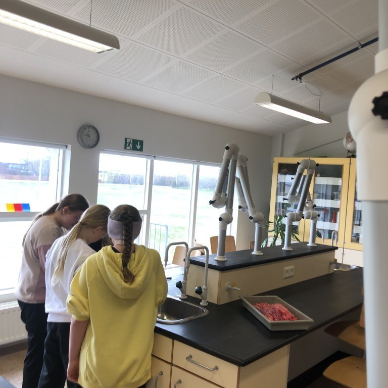 image-20230510-105504-f0e2390a