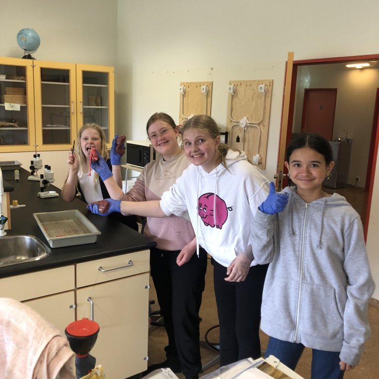 image-20230510-110503-2b9b7055